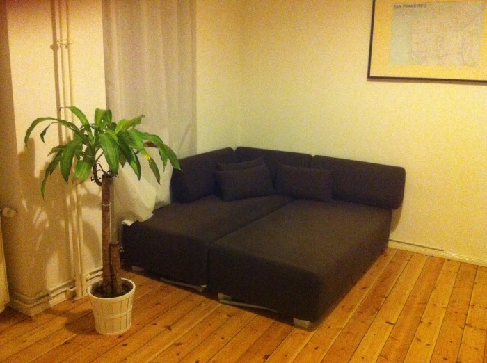 Sofa und Palme